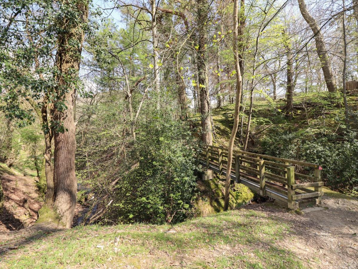 Villa Tan Y Capel à Llanbrynmair Extérieur photo
